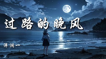 过路的晚风 - 洋澜一【邀君与我共饮一杯世间的愁 爱恨情仇全醉在心头】【动态歌词 Lyrics】【拼音歌词】【抖音歌曲】