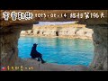 【賽普勒斯6】環遊世界旅行日記97 - 南賽 租車自助旅