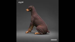 Doberman Pinscher Natural Ears Docked Tail 3D Print Pose 04 | Resin 3D Print STL | dog breed Sculptu
