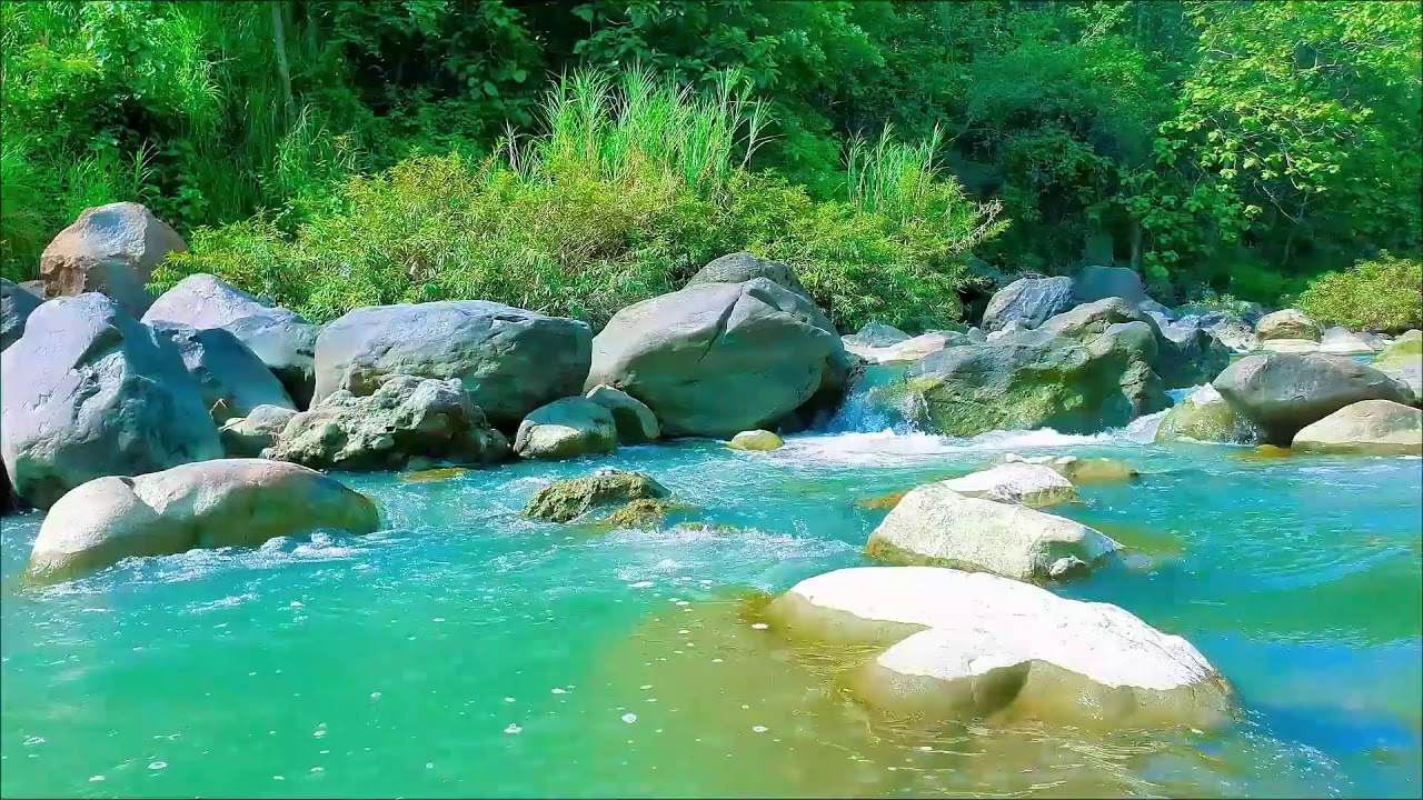 Gentle River Serenity – 12H Relaxing Flow for Meditation