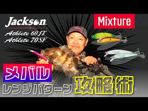 オリンピック メバル 240 オリンピック メバルロッドのおすすめ人気