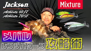 【メバルプラッキング】ハビタット型メバルのレンジパターンをMixtureで攻める