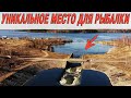 УНИКАЛЬНОЕ МЕСТО! ПРИКЛЮЧЕНИЯ НА РЫБАЛКЕ! ЛОВЛЯ НА ФИДЕР ВЕСНОЙ.