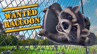 Wanted Racoon - Trash Panda With Style! screenshot 4