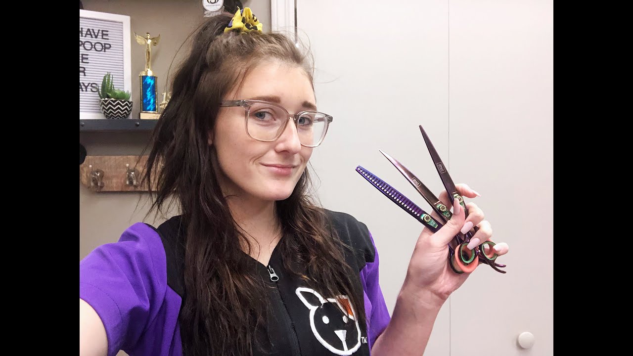 How To Properly Use your Grooming Shears - YouTube