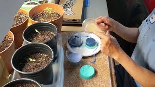 How to make a 2-piece silicone mold of a ring