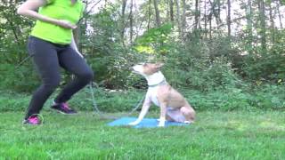 3 Pro Tips for a Rock Solid Stay