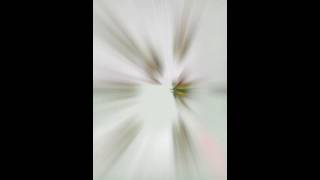 iBriscola - App Preview screenshot 2