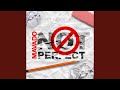 Not Perfect (Radio Edit)