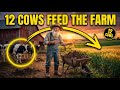 The Essential Systems of Mennonite Farming from Field to Table