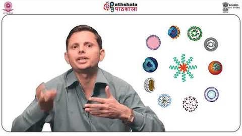 M-09.Nanoerythrosomes: Preparation and Characterization