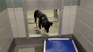 acs A659177