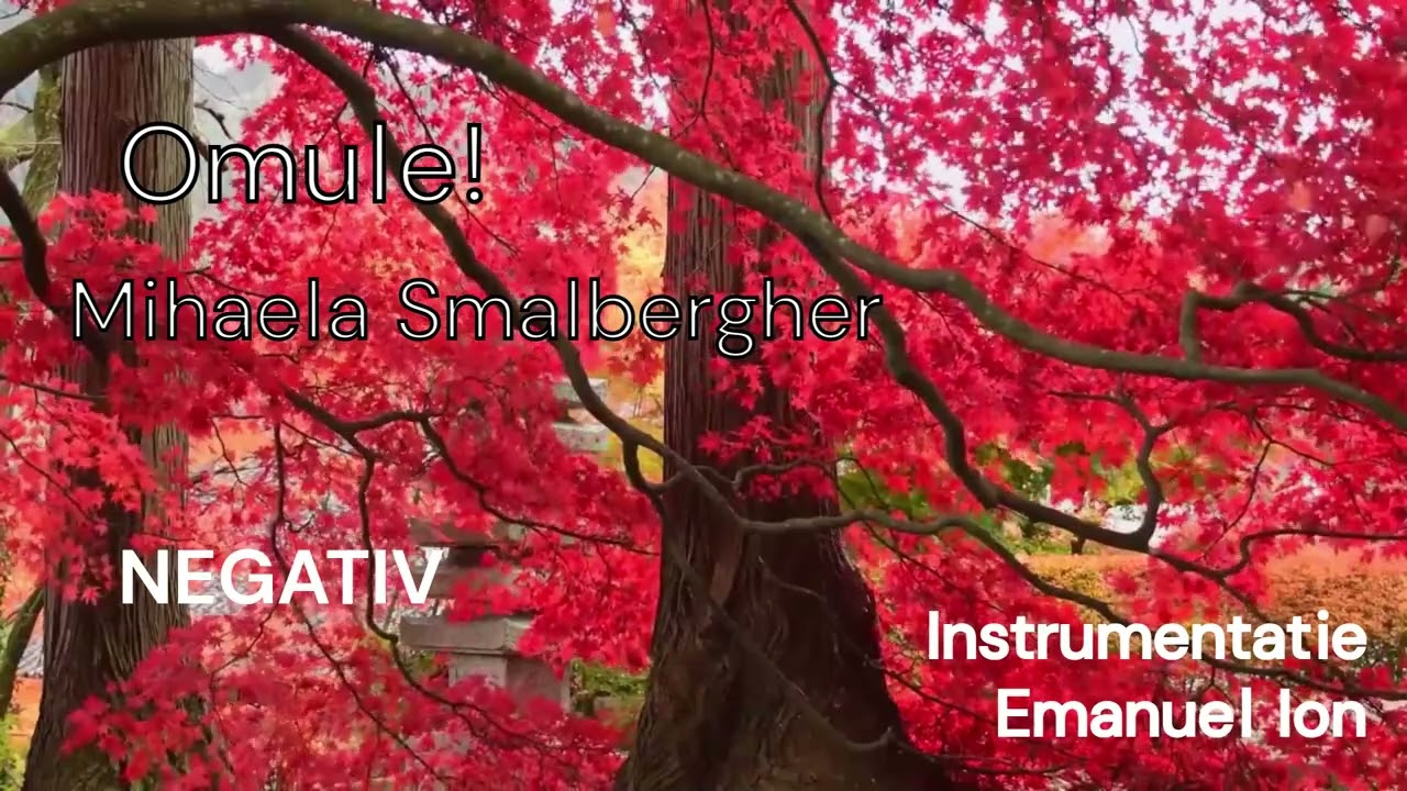 Negativ ~Omule ~ Mihaela Smalbergher