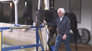 How common is horse doping, how is it regulated? screenshot 5