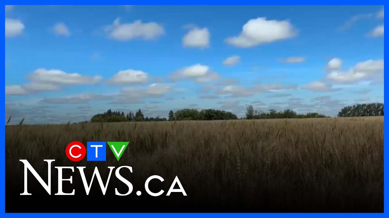 Harvest season is underway across Saskatchewan