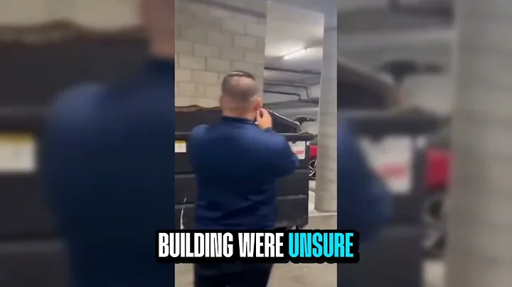 Man Wrangles Massive 20-Foot Python Found on California Dumpster