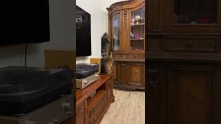 Raccoon Climbs Down Living Room Cabinet