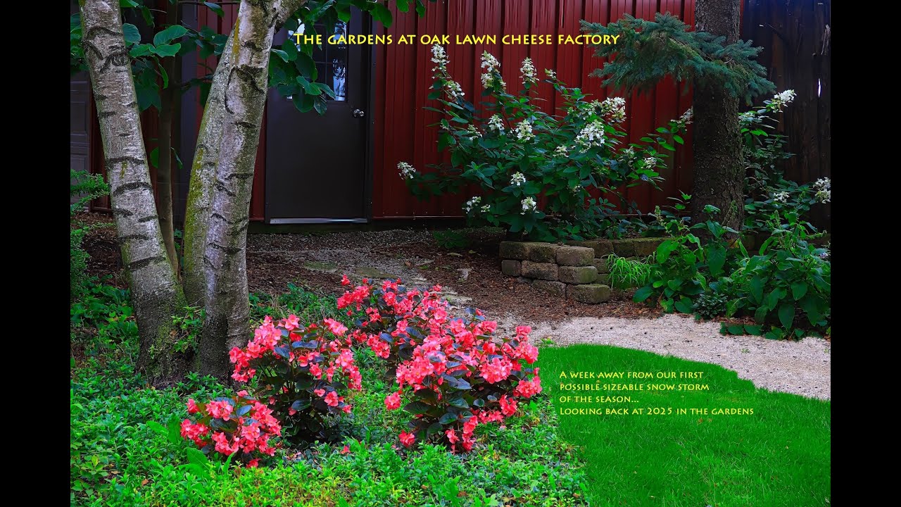 The Gardens at Oak Lawn Cheese Factory: 2025 review #1