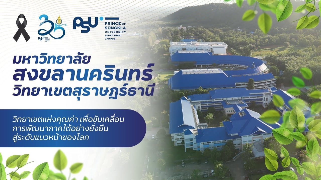 มหาวิทยาลัยสงขลานครินทร์ วิทยาเขตสุราษฎร์ธานี | ศูนย์กลางนวัตกรรมเพื่อภาคใต้ยั่งยืน