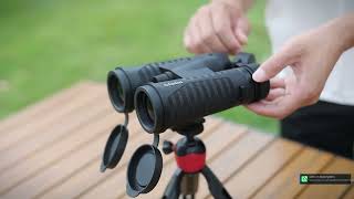 Top 5 Best Binoculars 2026 - Perfect for Bird Watching and Travel