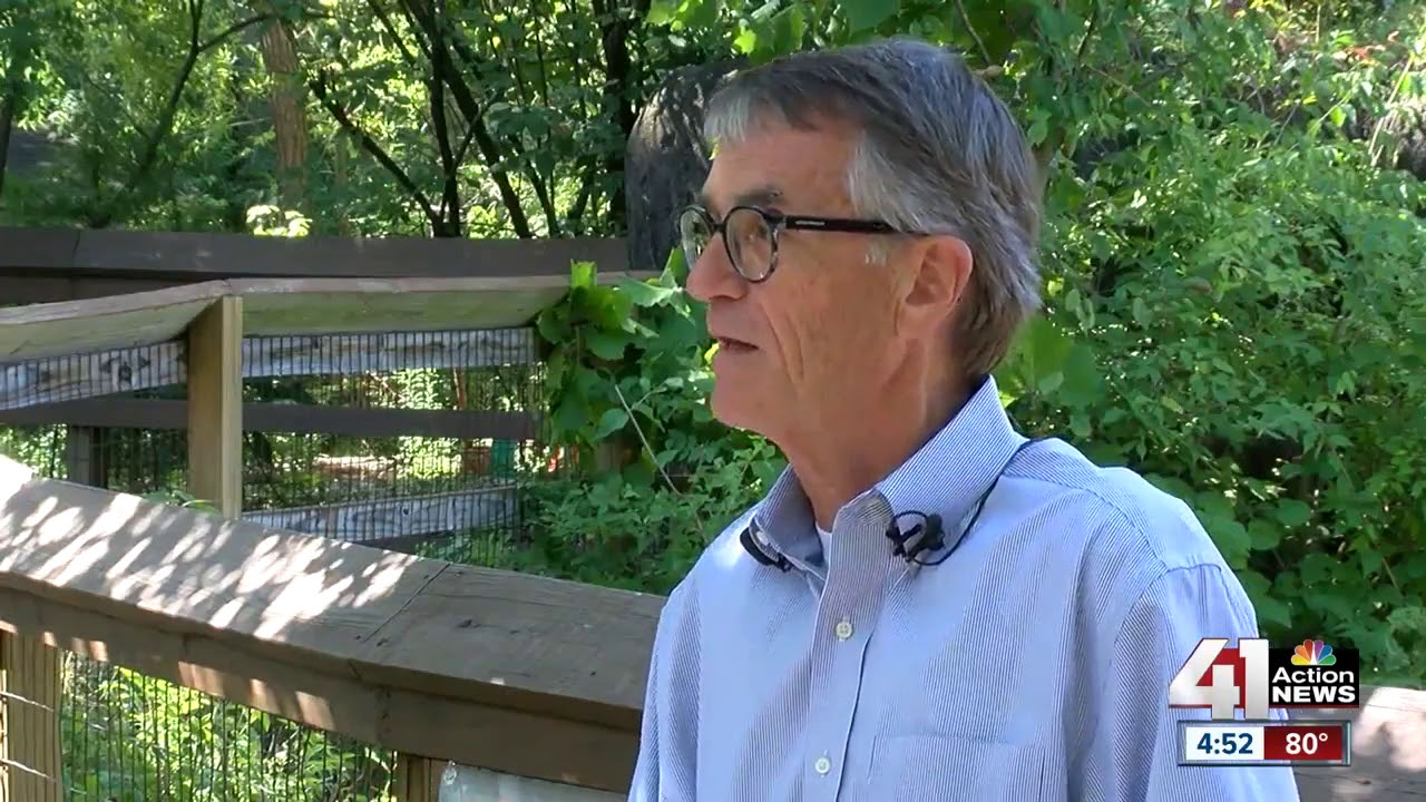 Elephant exhibit at KC Zoo to receive $10 million renovation