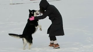 MY NEW BEST FRIEND!