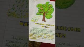 Geography#Tropical Deciduous Forests🌳🌿