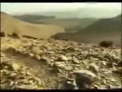 l'abbé-pierre-la-voix-des-sans-voix