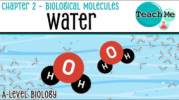 Chapter 2 | Water | Cambridge AS & A Level Biology (9700)