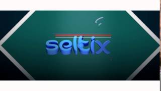 INTRO | Seltix (2.5D)