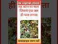 वह कौन सा फल Gk Question || Gk In Hindi || Gk Question And Answer || Gk Quiz || Ssc || All Exam
