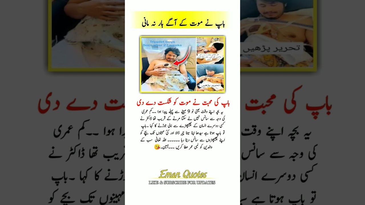 4 Life-Changing Quotes for Daily Motivation 