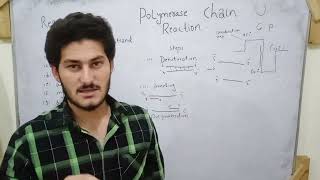 PCR polymerase chain reaction by undefined learning in pashto with simple way