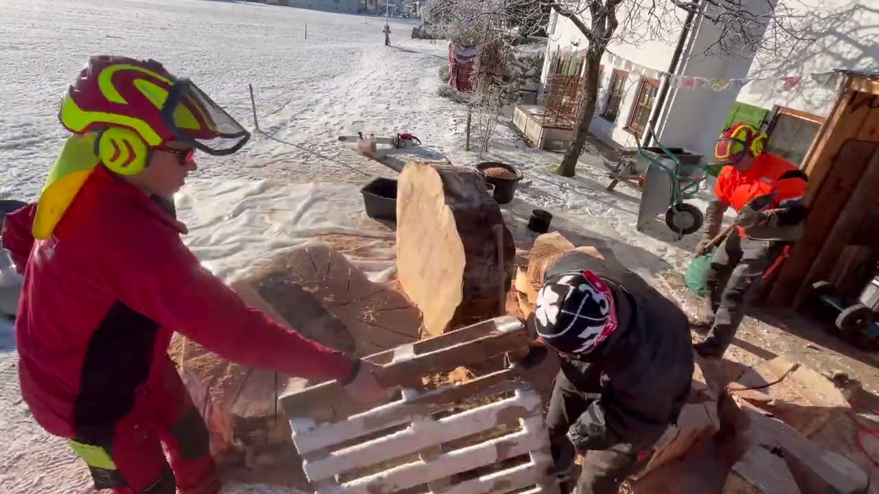 Seht wie der erste Buchen Koloss verarbeitet wird!!