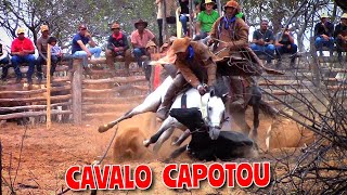 ONLY TOP CAREER (9th Bullfight in the Woods at Francisco Norberto Park)