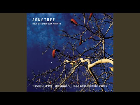 Songtree No 10 Cesa 
