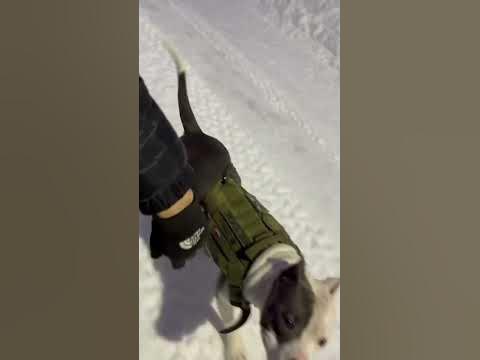 А все бегут бегут бегут и я бегу - YouTube