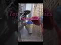 TOP-3 Realistic Offline Games #Realsticgames #skggamers