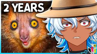 Why Do These Animals Even Exist?! | Casual Geographic