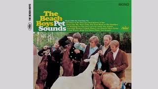 Wouldnt It Be Nice - The Beach Boys - Mono Mix Cover