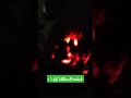 How born fire works @ North India