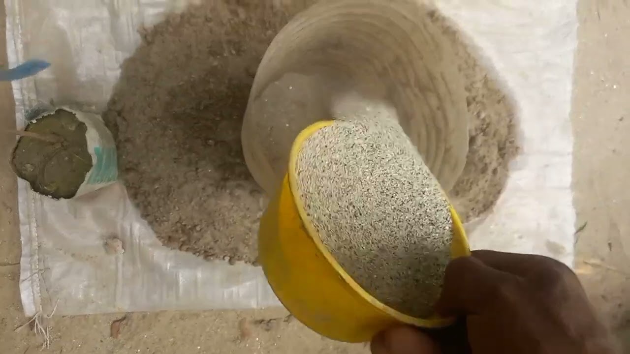 আনার গাছের মাটি তৈরি ও রোপণ পদ্ধতি। পর্ব:১ 