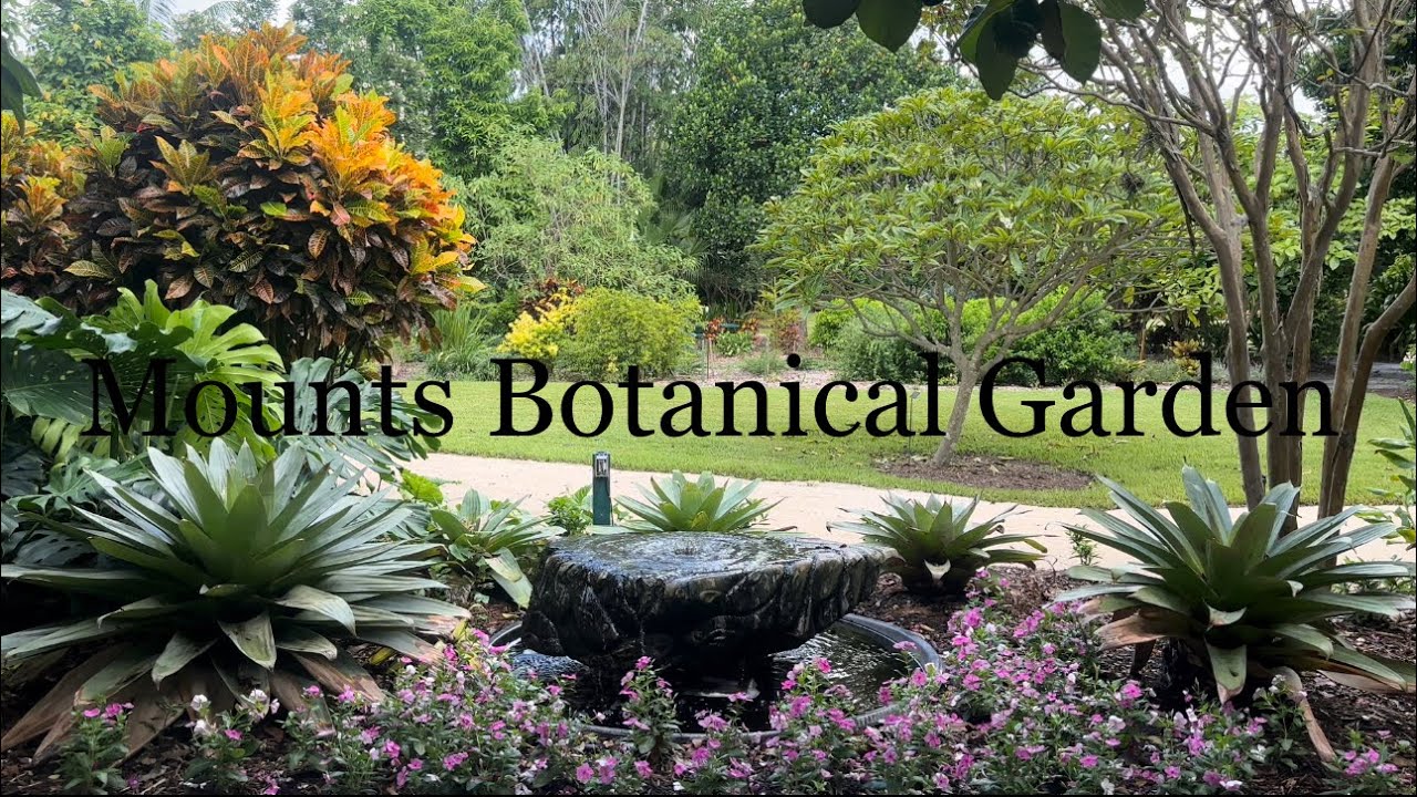 Mounts Botanical Garden, West Palm Beach, 2023 CarolBeauty of Nature