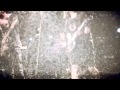 The Chorizo Vibes - PANDEMONIUM SPOT