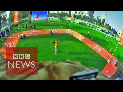 Eagle-cam: Nosedive at 170KMph - BBC News