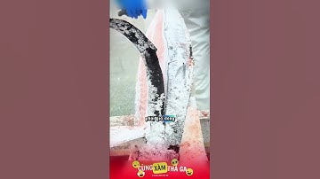 Những người thợ cắt cá ngừ