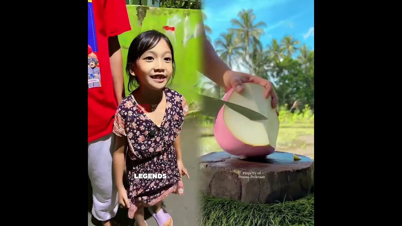 Funniest Fun Top New Comedy Video 2025🤣Amazing best of funny video 