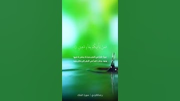 قل ارءَيْتُمْ إِنْ أَصْبَحَ مَآؤُكُمْ غَوْرًا|القارئ رعد الكردي