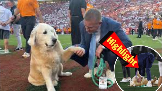Kirk Herbstreit announces death of beloved dog Ben in heartbreaking post Shere|@viralbrief-o7s - YouTube