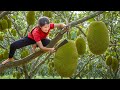 Mukbang: The Sweetest Jackfruit Ever! Harvesting &amp; Eating In The Garden | Farm Life Tropics
